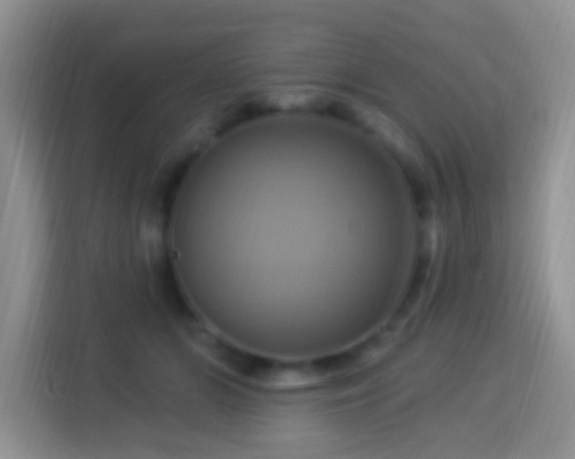 X0000114100510200910051448