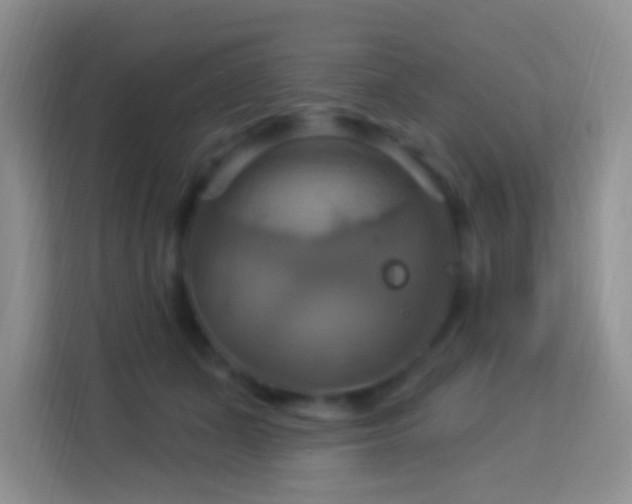 X0000114100511200910051448