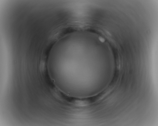 X0000114100515200910051448