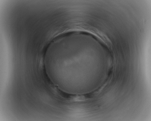 X0000114100517200910051447