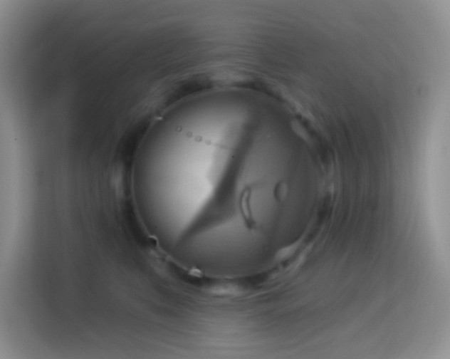 X0000114100519200910051447