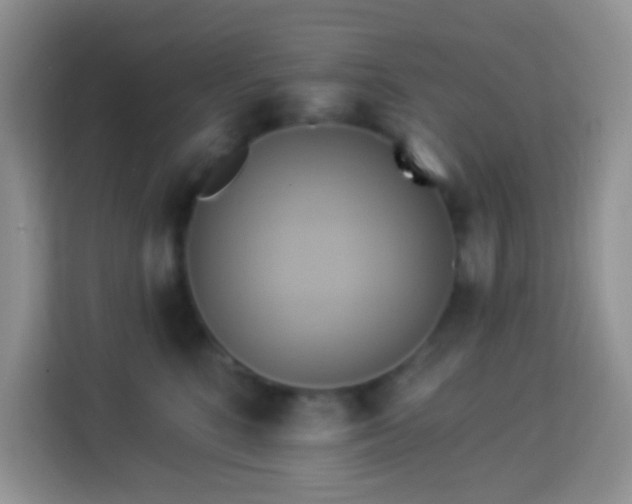 X0000114100520200910051447