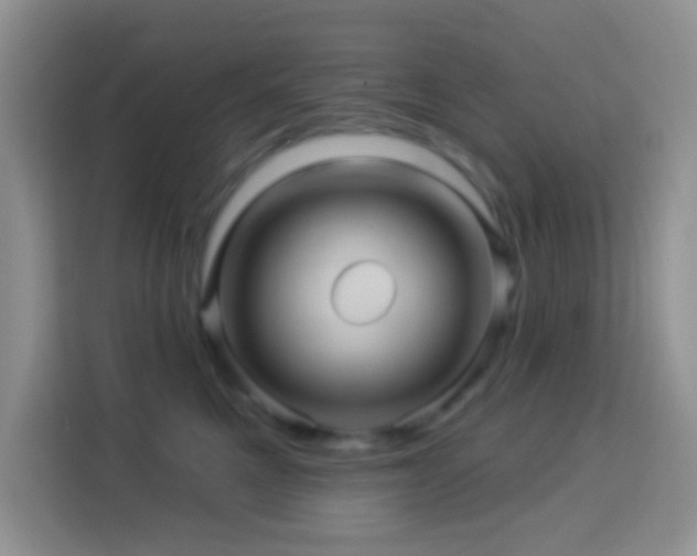 X0000114100521200910051447