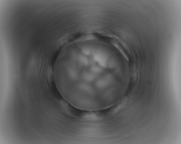 X0000114100523200910051447