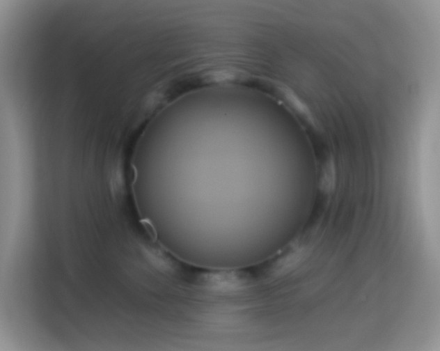 X0000114100524200910051447