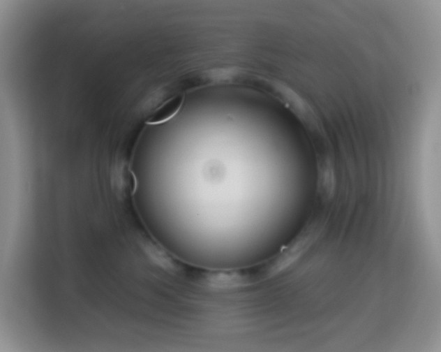 X0000114100525200910051447