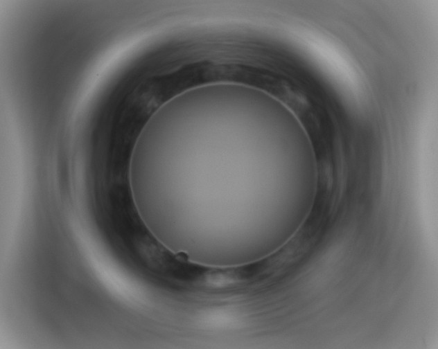 X0000114100526200910051447