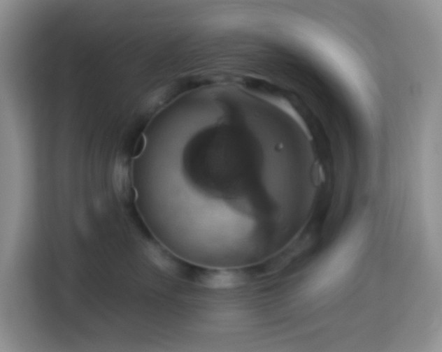 X0000114100527200910051447