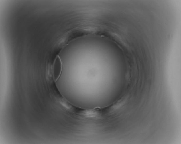 X0000114100528200910051447