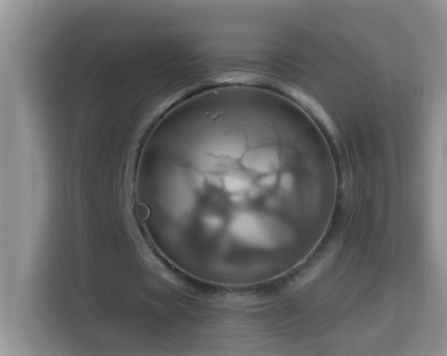 X0000114100529200910051447