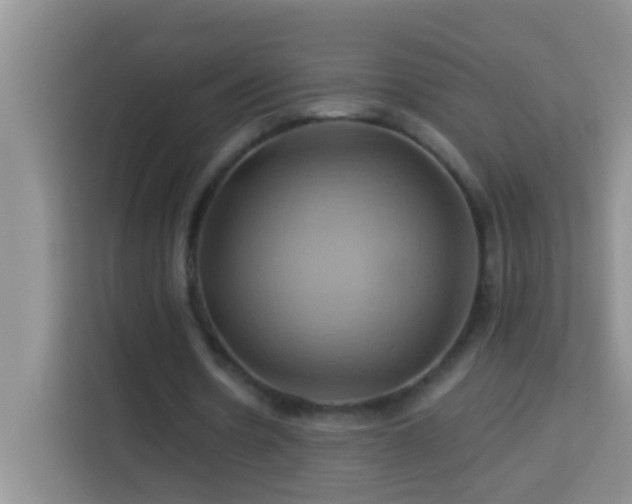 X0000114100530200910051447