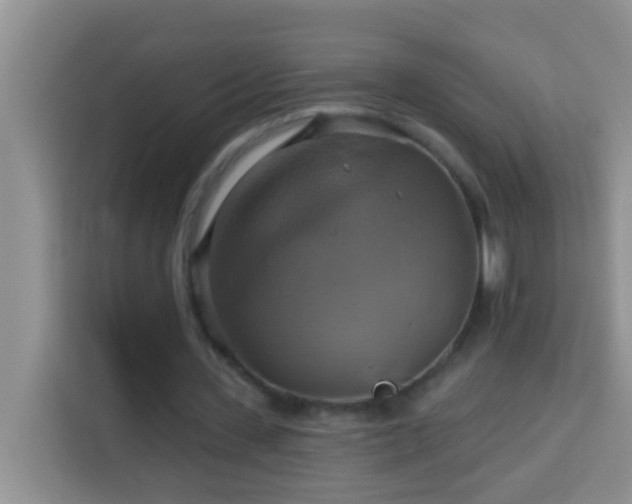 X0000114100531200910051447