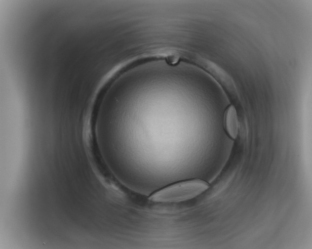 X0000114100532200910051447