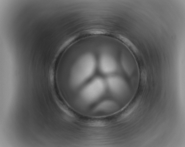 X0000114100533200910051447