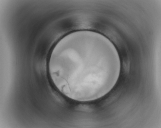 X0000114100534200910051447