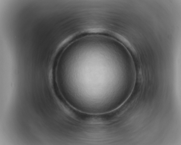 X0000114100535200910051447