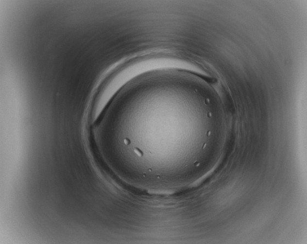 X0000114100536200910051447