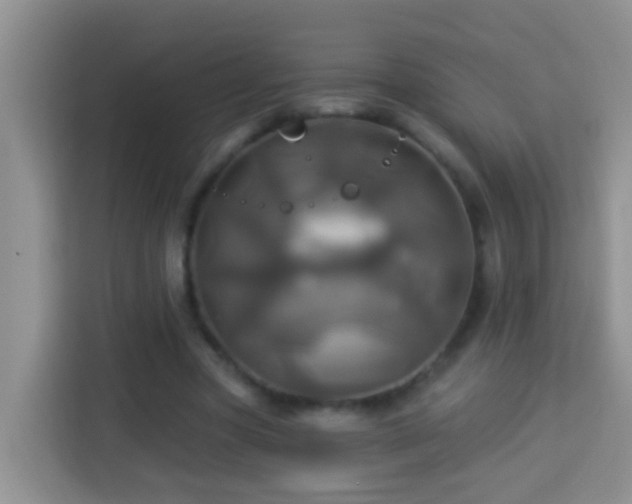 X0000114100537200910051447