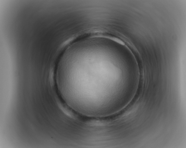 X0000114100538200910051447