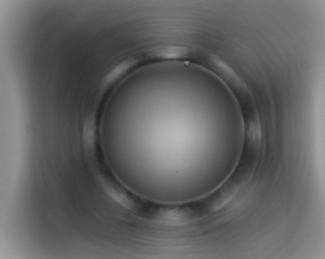 X0000114100540200910051447