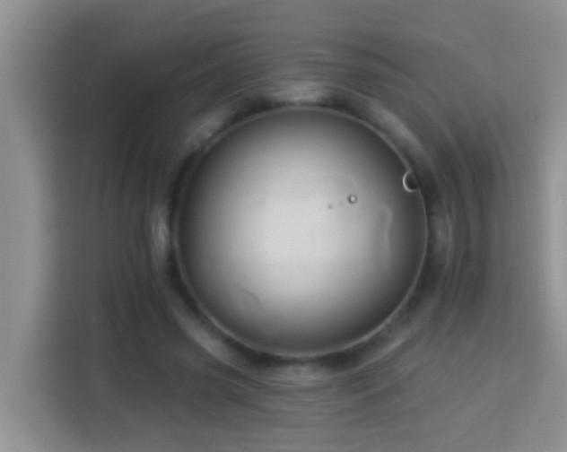 X0000114100541200910051447