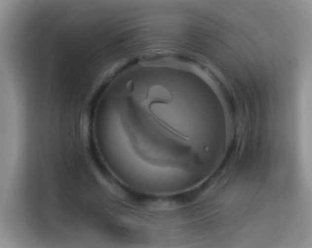 X0000114100542200910051447