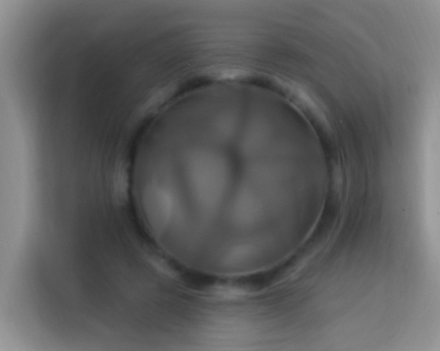 X0000114100545200910051447