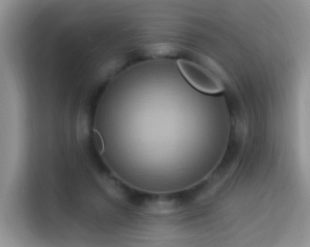 X0000114100546200910051447