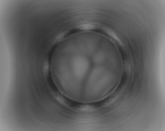 X0000114100549200910051447