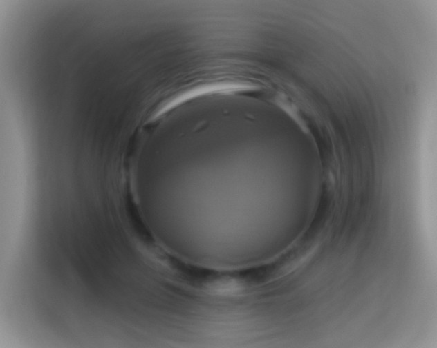 X0000114100551200910051447