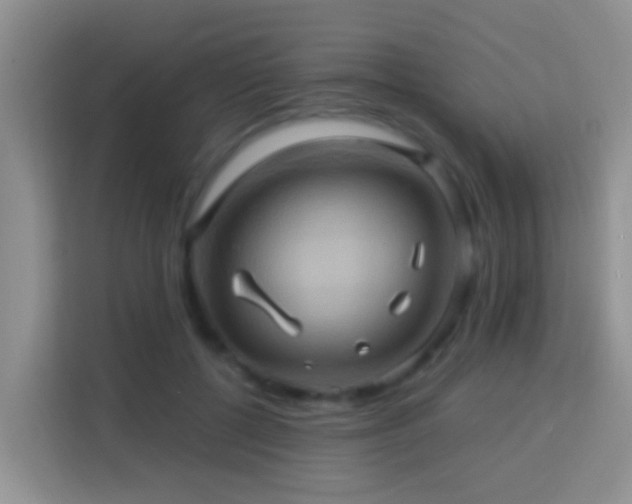 X0000114100552200910051447