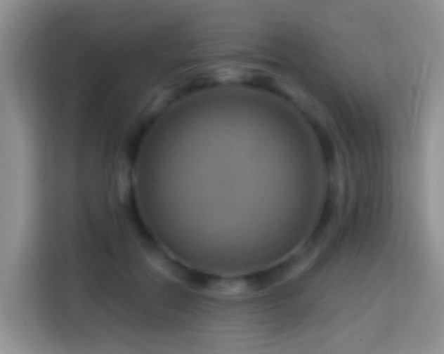 X0000114100554200910051447