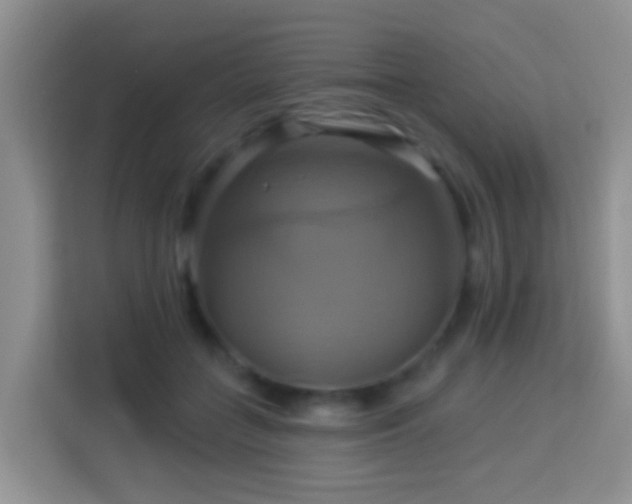 X0000114100555200910051447