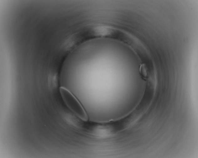 X0000114100556200910051447