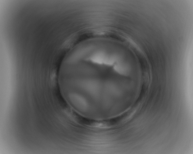 X0000114100557200910051447