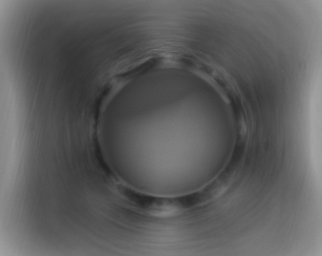 X0000114100559200910051447