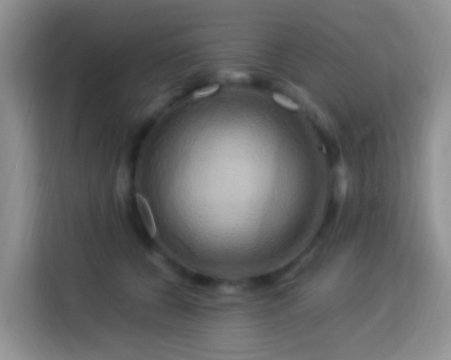 X0000114100560200910051447