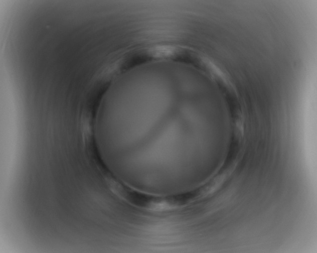 X0000114100561200910051447