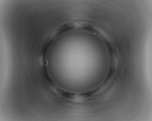 X0000114100562200910051447