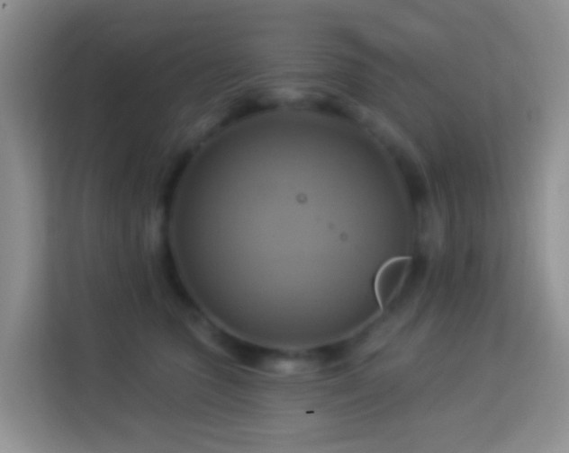 X0000114100563200910051447