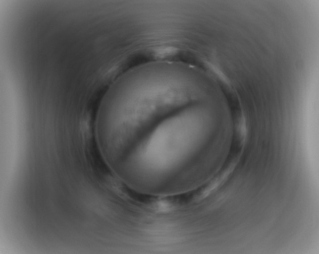 X0000114100565200910051447