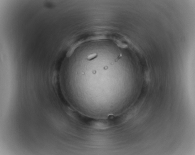 X0000114100567200910051447