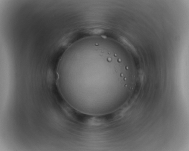 X0000114100568200910051447