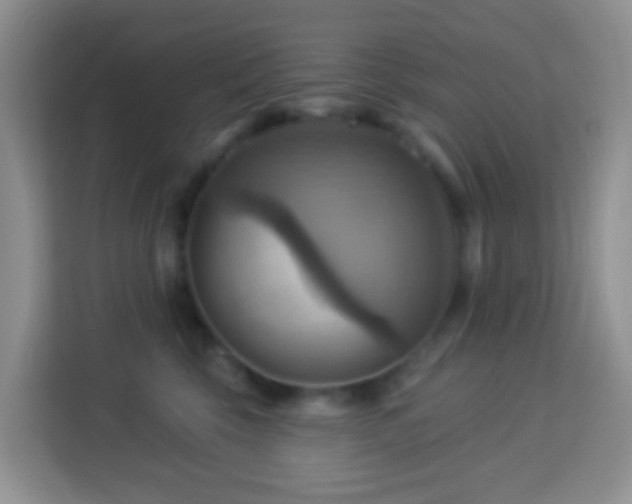 X0000114100569200910051447