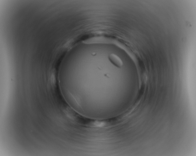 X0000114100570200910051447