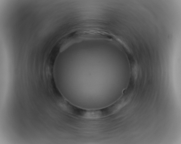 X0000114100571200910051447