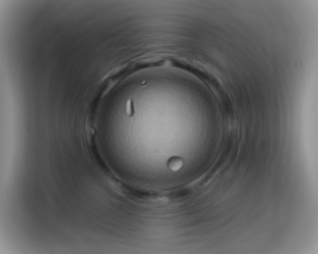 X0000114100572200910051447