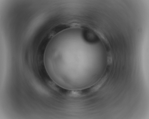 X0000114100573200910051447