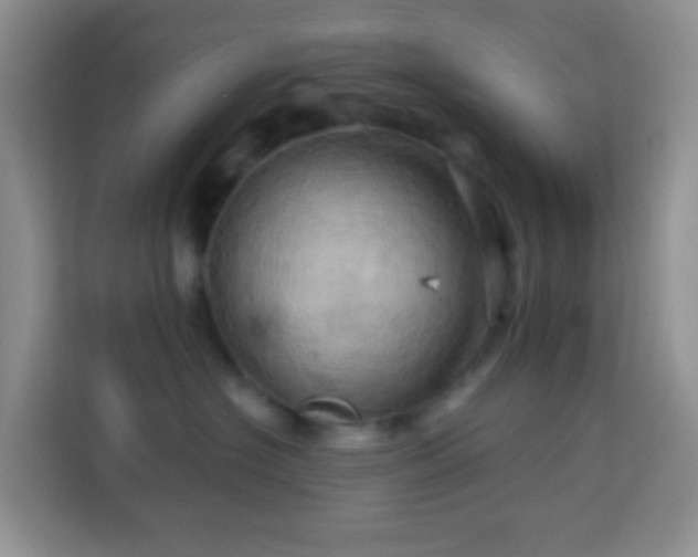 X0000114100574200910051447