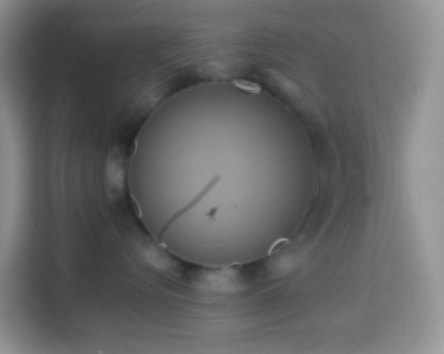 X0000114100576200910051447